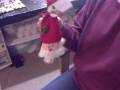 videos de Santa gift bag
