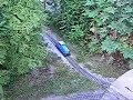 Kerti vasút 3 - a kib?vített pálya/Garden railroad/Märklin 1 Kerti vasút 3 - a kib?vített pálya/Garden railroad/Märklin 1