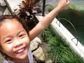 swimming in gensan