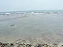 Anyer