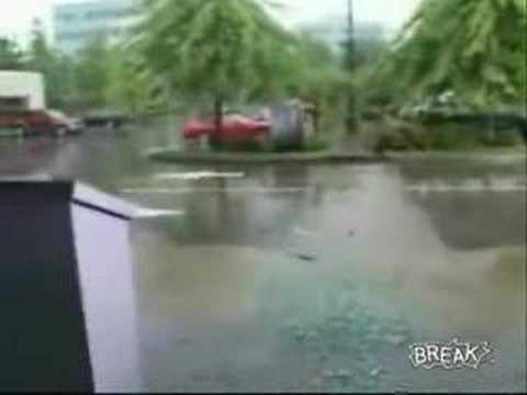 G��ir flytimenn