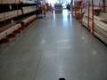 videos de Reggie the Dachshund goes to Home Depot Store  Riding on the cart.