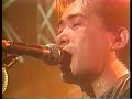 P-MODEL - Zebra (live) P-MODEL - Zebra (live)