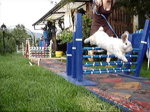 Speeeeeed - Süchtig nach Geschwindigkeit
