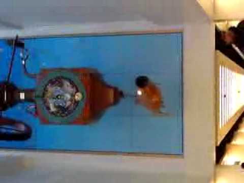 cheltenham today cheltenham today