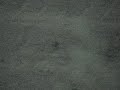 STANDOFF COYOTES VS. SIX DEER-POUNCE ATTACK KILL PLAY Pt1 STANDOFF COYOTES VS. SIX DEER-POUNCE ATTACK KILL PLAY Pt1