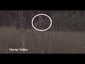 Crop Circles: The Real Story Crop Circles: The Real Story