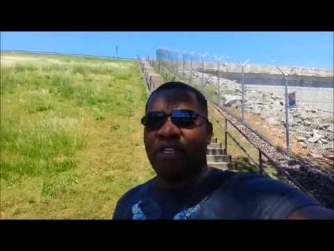 how to help the amazon