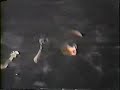 JUDGE - \"NEW YORK CREW\"