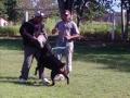 Evanescence_-_Taking_Over_Me VIGILÂNCIA COM CÃES DE GUARDA CIA. DO CÃO