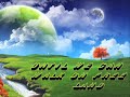 See Video