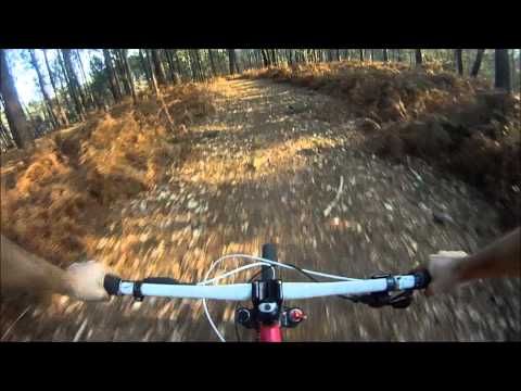 chain reaction cycles