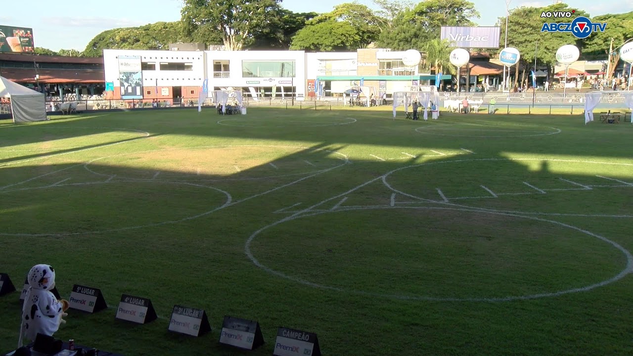 91ª EXPOZEBU - JULGAMENTOS DOMINGO | CENTRO