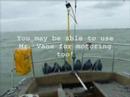 How to use the Mr. Vane ...