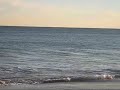 Porpoises at Emerald Isle Porpoises at Emerald Isle