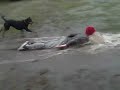 what we do in the rain what we do in the rain