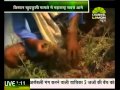 सभी दल लड़ सकते हैं अपने दम पर चुनाव