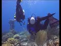 Duiken bij 1000 Steps op Bonaire