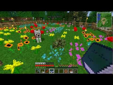 Bee Master with FallenDice