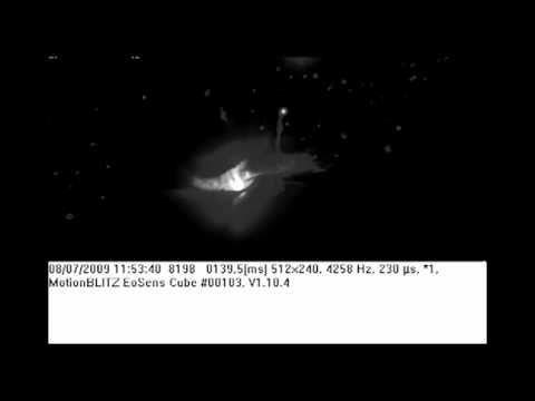 Imagen de previsualización de YouTube