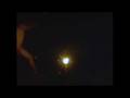 Flok - Trailer