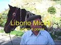 Racconti e poesie del pastore Liborio Miceli