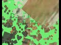 SAHARA -30 ANNIVERSARY OF THE RASD RELEASED TERRITORY