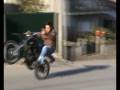 videos de Gang da marroca