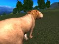 hunting killing