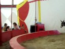 circo