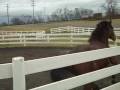 videos de Napolean Dynamite 12/28/08 2005 TB Geldin
