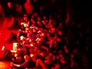 Soulmusik live in Hamburg