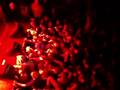 Soulmusik live in Hamburg