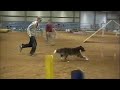 12-31 Masters Standard