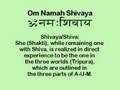 Om Namah Shivaya Mantra: Yoga Meditation, Vedanta, Tantra