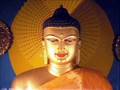 videos de Metta Sutta (Loving Kindness) Pali/English