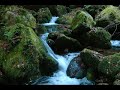 Asturias Paisaje Oto�al - II Parte