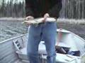Fishing the Arrowhead: Elbow Lake