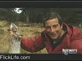 grylls attacks a rabbet grylls attacks a rabbet