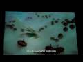 videos de Unificado 2009 - Mamute (Português)