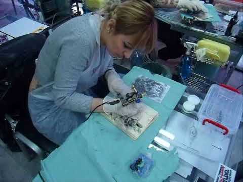 Galerie video