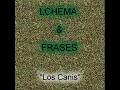 Los canis - Dais asco