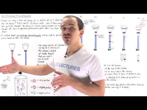 how to perform ion exchange chromatography