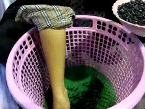 การเพาะถั่วงอก - นันทา กันตรี แนะวิธีเพาะถั่วกินเองได้ง่ายๆ...