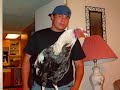 game chickens game chickens