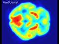 Robo-monkey uses brain power to feed itself