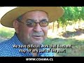 Coama s.a. peque�os agricultores, su historia y su vino.