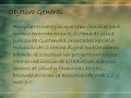 Proyecto de Graduacion Juan Fernando Ramirez Lossi