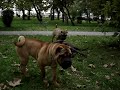 Pytheas & Kleio 