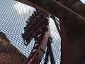 SheiKra at Busch Gardens Africa